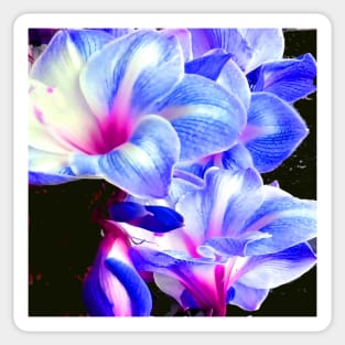 Garden Flower Blooms Sticker